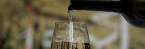 01_Trentino_Altopiano_di_Piné_Valle_di_Cembra_Fornace_Civezzano_Rassegna_dei_Mueller_Thurgau