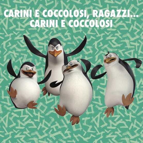 Pinguini-Di-Madagascar-Carini-e-Coccolosi