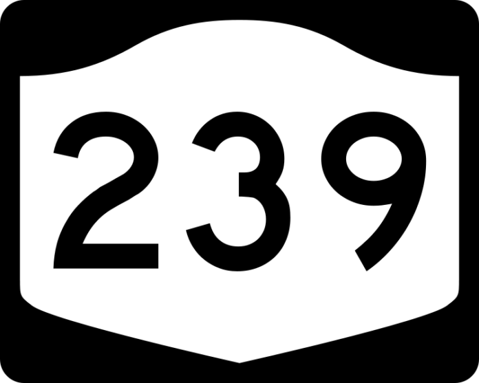 239 bis