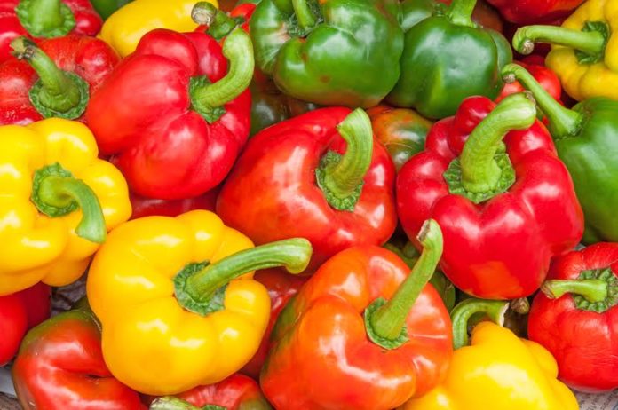 il-peperone-l-alleato-della-tua-dieta-e-della-tua-salute