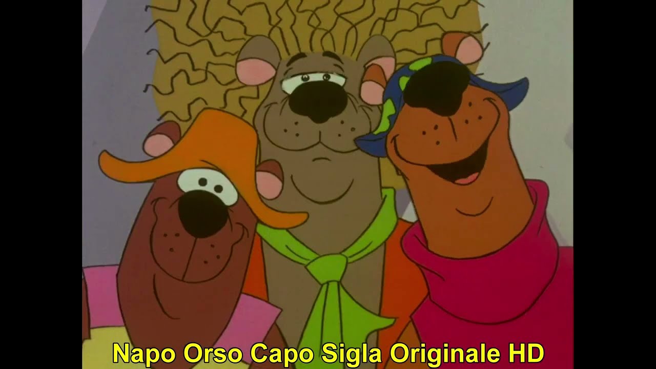 Napo orso capo