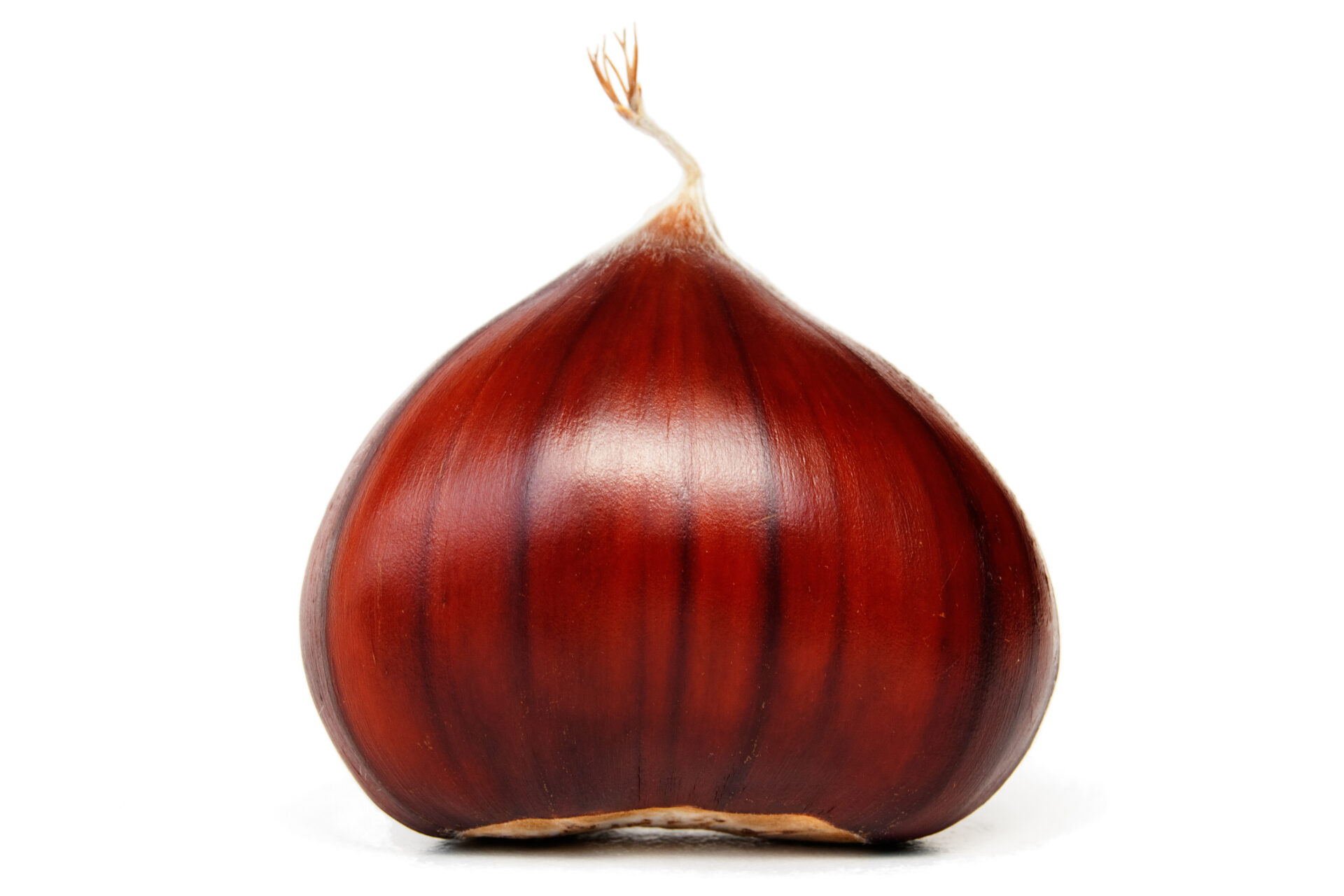 La castagna