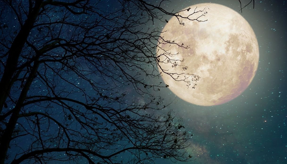 Luna