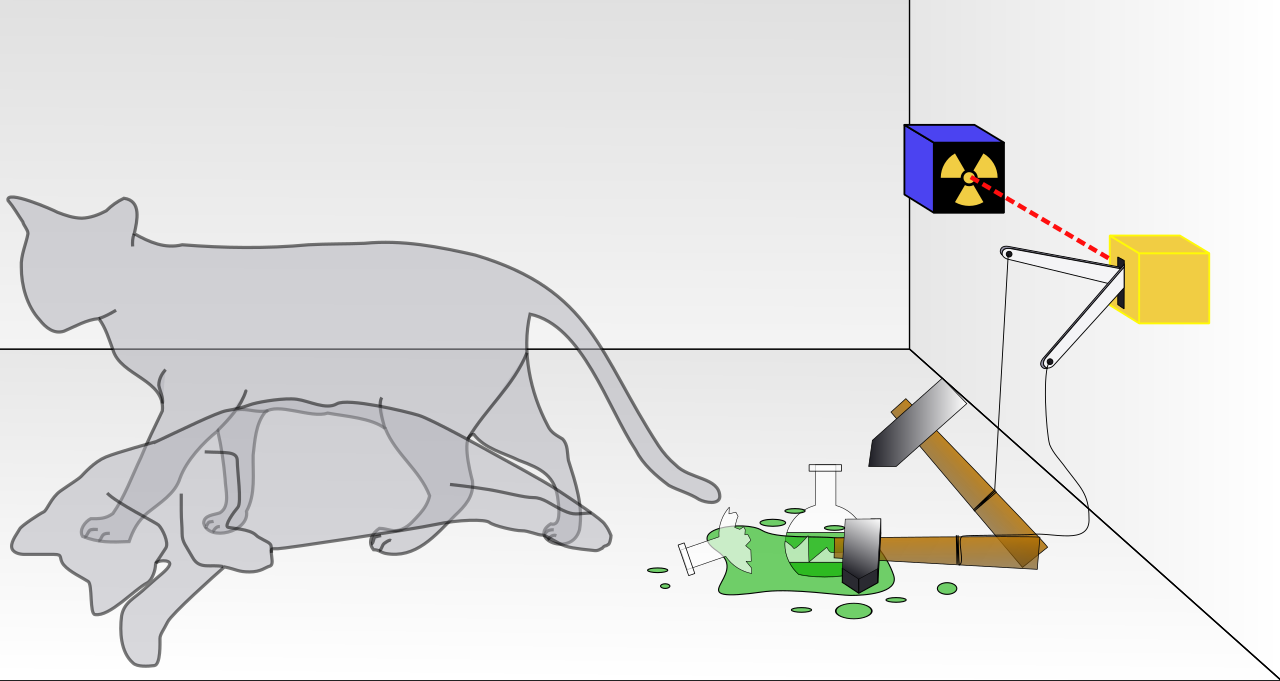 Schrödinger non ama i gatti